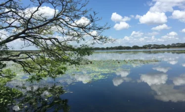 Sri Lanka private tour cost travel experience