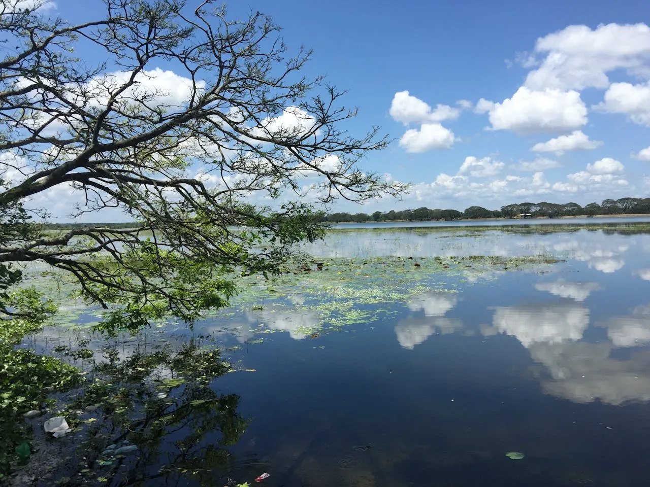 Tissa wewa Anuradhapura Sri Lanka